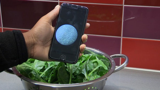 smartphone bacteria